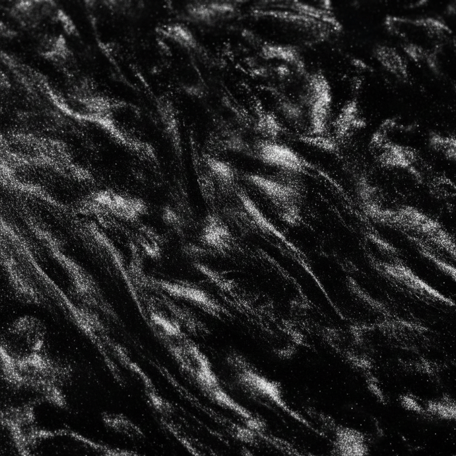Black Oyster ( 2 BATHS USE )